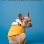 meme karsten winegeart oU6KZTXhuvk unsplash5f8cb0ca3db52