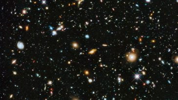 STScI01EVVKN43WKPQ3WSV9Y9887M47