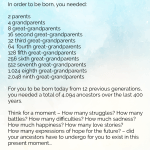 What it took for you to exist in this present moment 27 img 1158