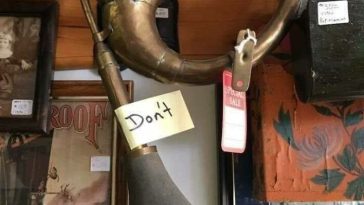 700