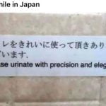 Japanese Precision and Elegance 26 xedkmi36na581