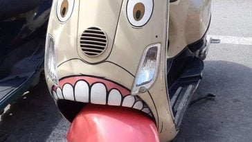 58381712 1257877224367328 1776908333488275456 n