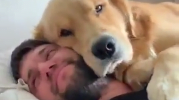 mans best friend