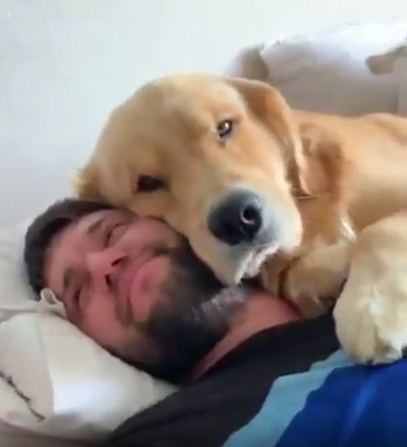 mans best friend