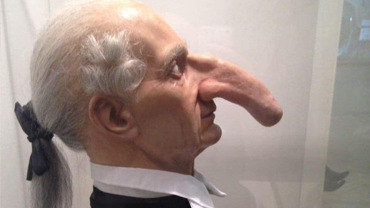 The World’s Longest Nose PINZOR