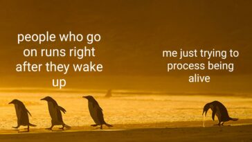 7ewnu5zzq0s61