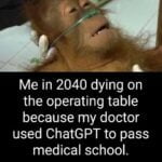 T4r4NA37vfxAAQwcXsbP4JgEIOpFmK3TjENbfaMRpn4 023