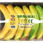 The Famous Korean 6 Pack "One a Day Banana" from E-Mart 26 emartbanana