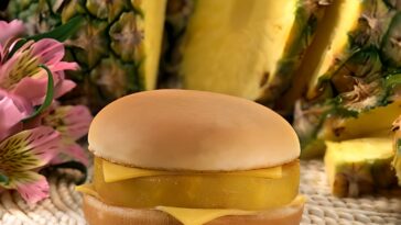 hula burger.png