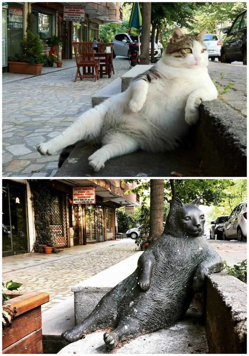 Tombili Statue in Istanbul 7 E3GyOMWYAEXGNy