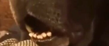 You okay buddy thumb1