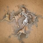 1639667282078 gettyimages 1237183976 Large