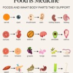 Foods that look just like the body parts they're good for 27 20240529 230115