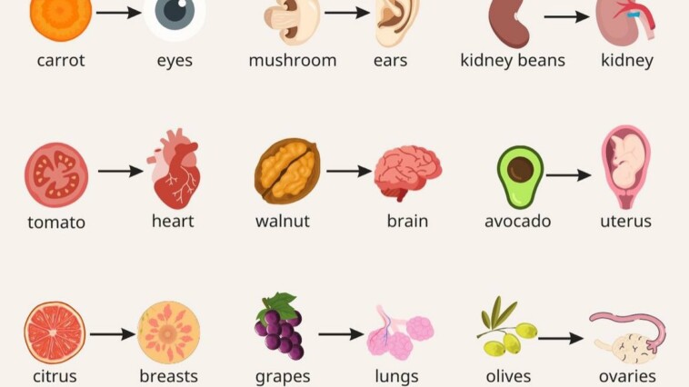 Foods that look just like the body parts they're good for 2 20240529 230115
