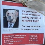 Hound, Wolfe & Chase Paw Firm 26 20250427 165301