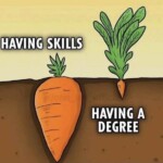 Having Skills vs. Having a Degree 27 20250919 110340