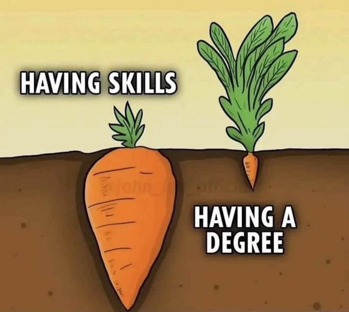 Having Skills vs. Having a Degree 7 20250919 110340