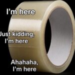 1000046986